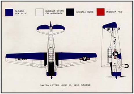 Warbird Paint Scheme